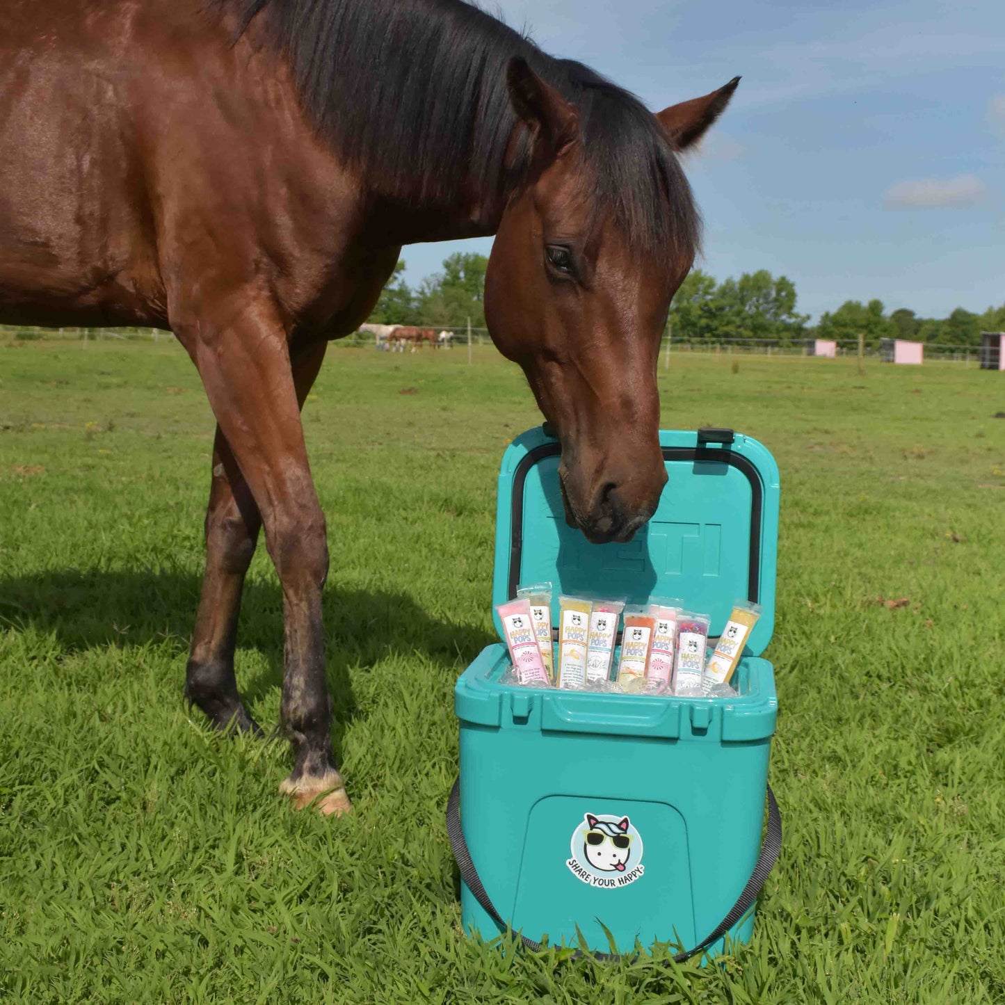 Happy Pops | Farm Animals Sampler 5-Pack