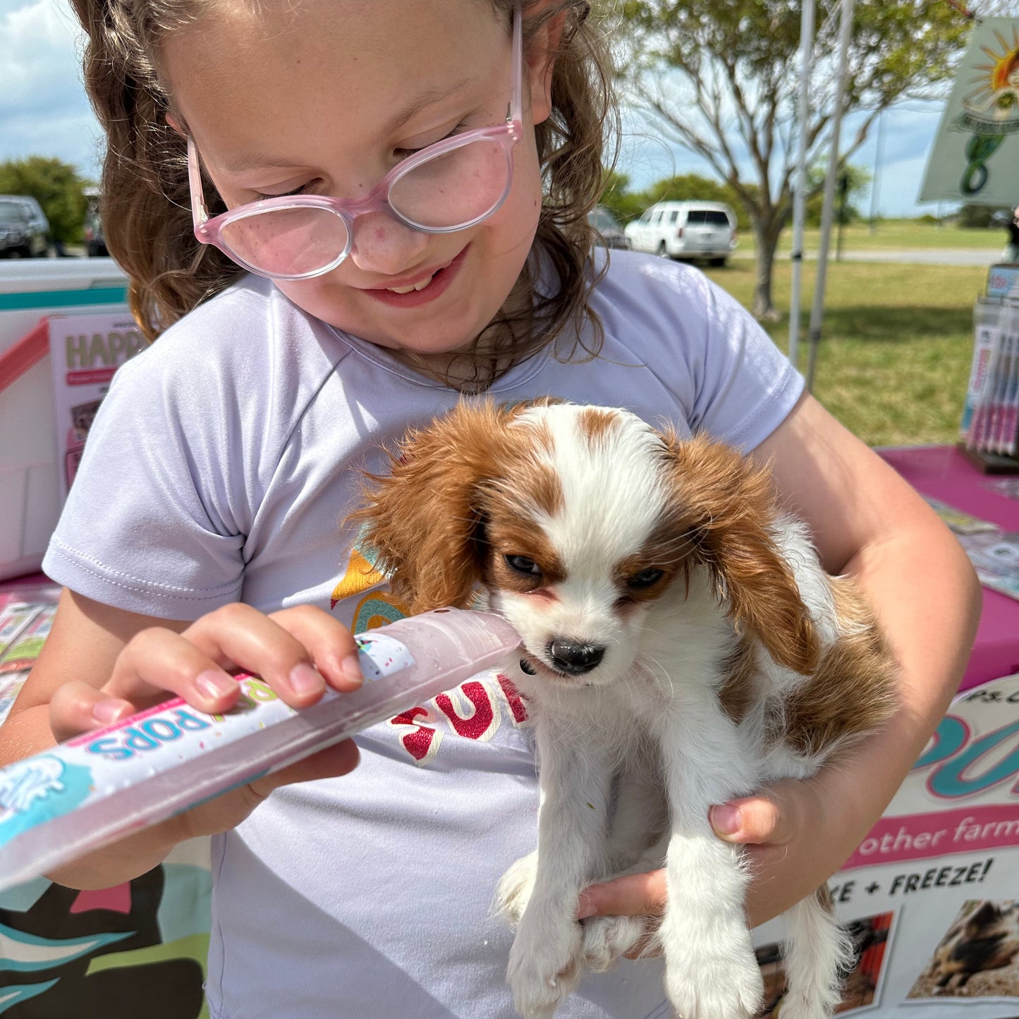 Happy Pops | Dog Sampler 5-Pack