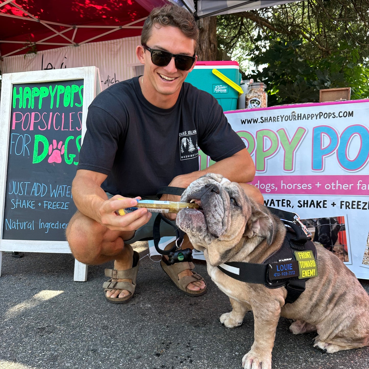 Happy Pops | Dog Sampler 5-Pack