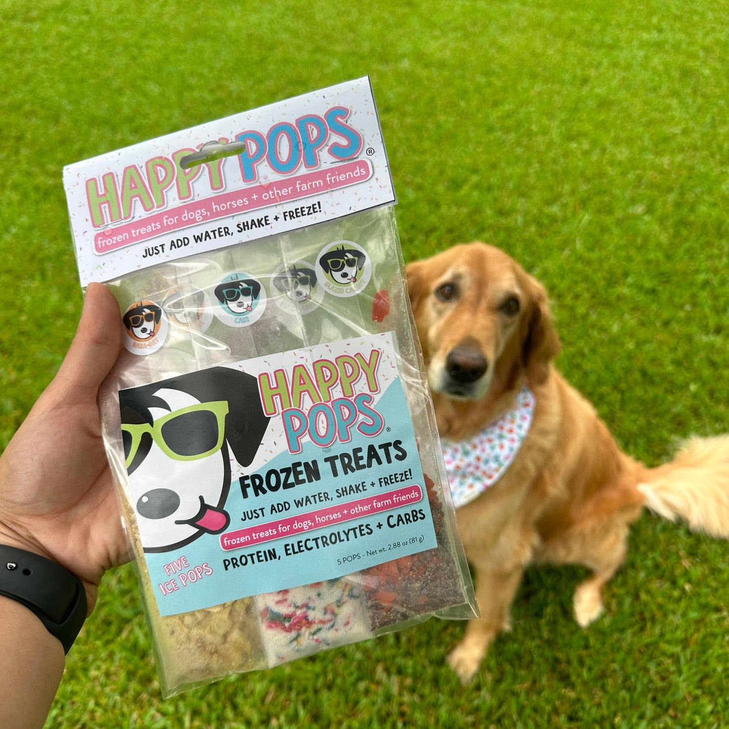 Happy Pops | Farm Animals & Dog Frozen Treat 5-Pack
