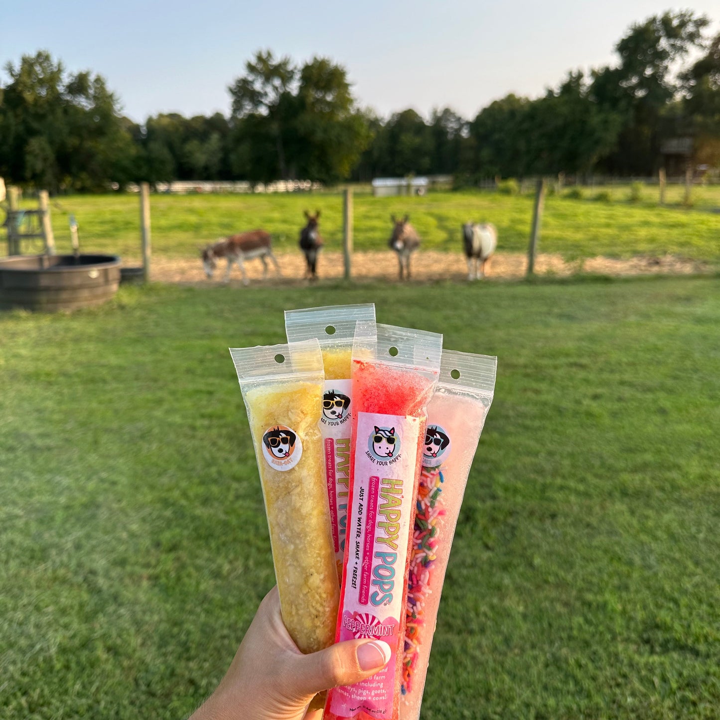 Happy Pops | Farm Animals Sampler 5-Pack