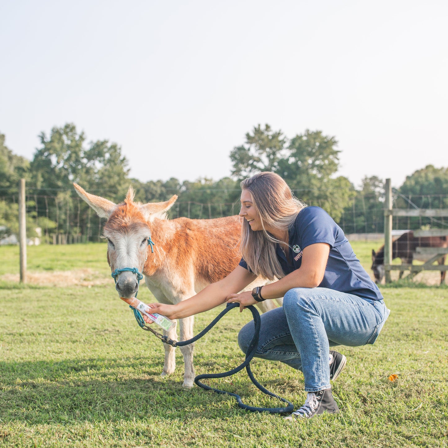 Happy Pops | Farm Animals Sampler 5-Pack