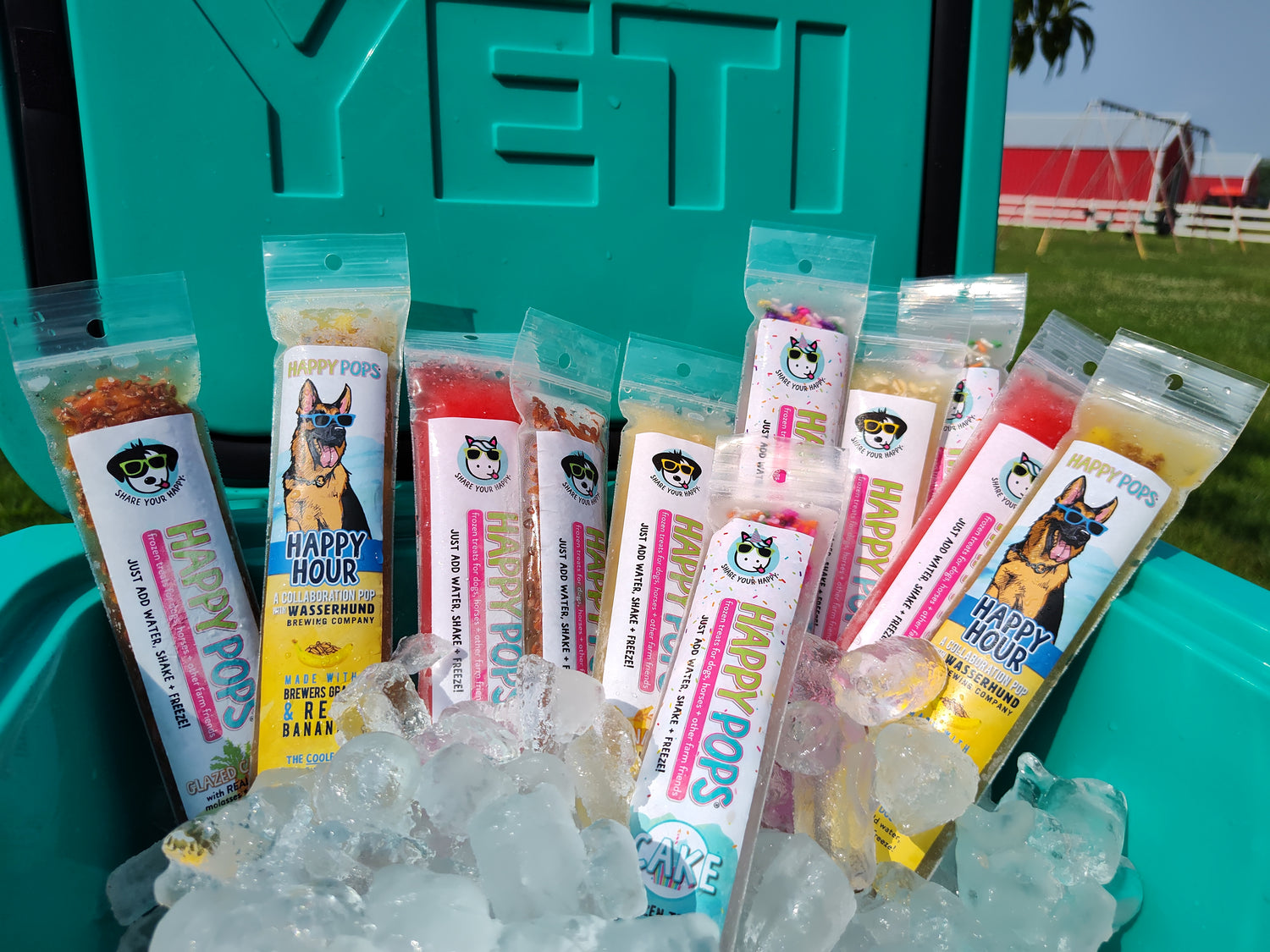 Multiple packaged dog treats labeled Happy Pops are arranged in a teal Yeti cooler filled with ice outdoors. The cooler has YETI branding embossed on the lid, and a grassy field is visible in the background.