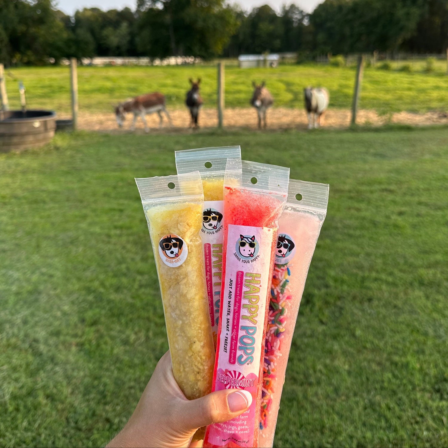 A hand holds four packaged horse treats in clear plastic tubes, showing yellow and pink textured pieces with colorful candy-like pieces, against a blurred outdoor pasture with horses in the background.