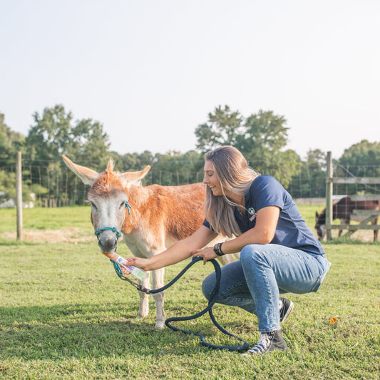 Farm Friends | Pet Treat Sampler 5-Pack